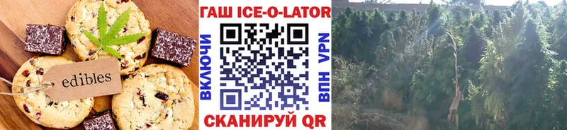 Canna-Cookies конопля  магазин  наркотиков  kraken tor  Талица 