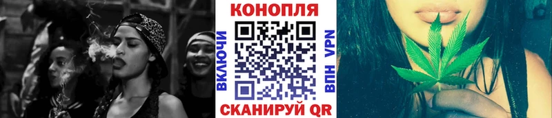 Шишки марихуана конопля  ОМГ ОМГ ССЫЛКА  Талица 